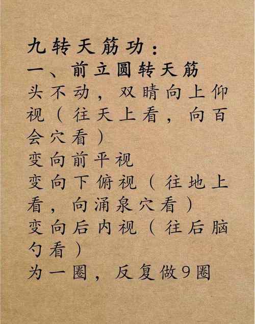 九阴真经怎么安装节省时间？效率提升技巧揭秘！