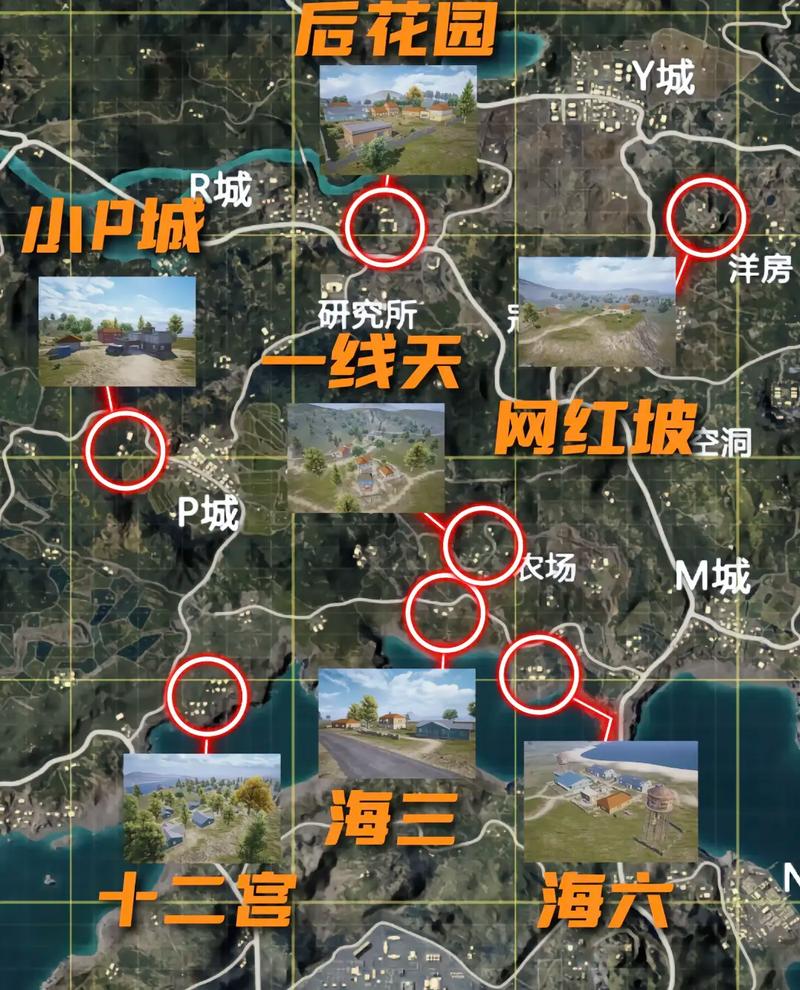 和平精英国际服哪里下？手把手教你下载方法