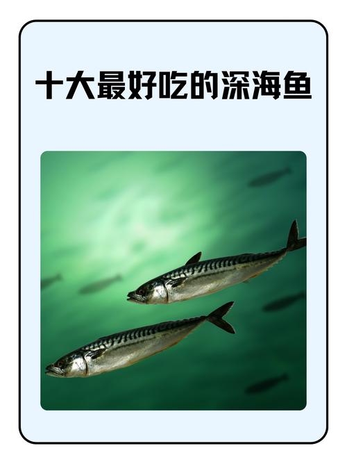 是深海鱼吗黑历史真相大揭秘(一分钟了解全部内幕故事)