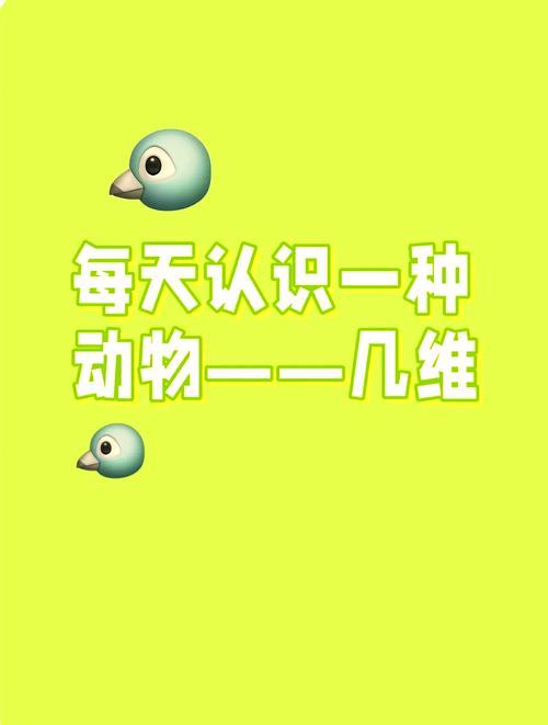 孩子问几维鸟和蜣螂能飞吗？这样解释更简单有趣