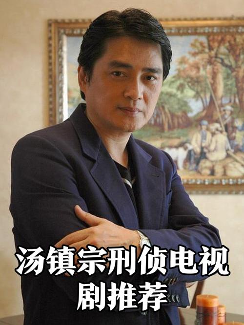汤镇宗主演的电视剧怎么选？资深剧迷推荐必看