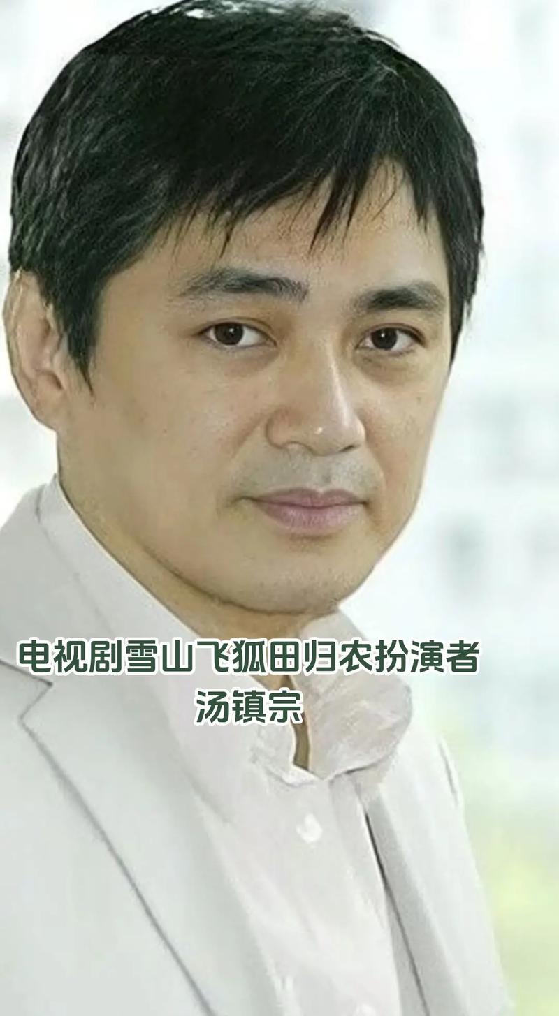 汤镇宗主演的电视剧怎么选？资深剧迷推荐必看