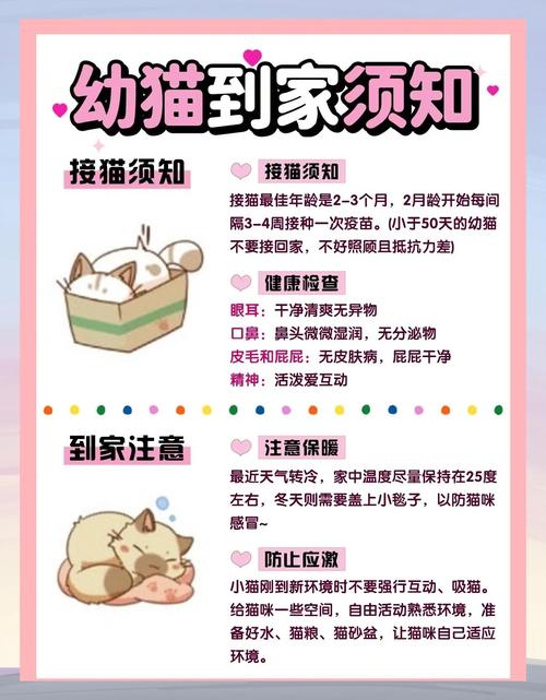 如何找到小可爱永久回家地址？三步教你快速直达！