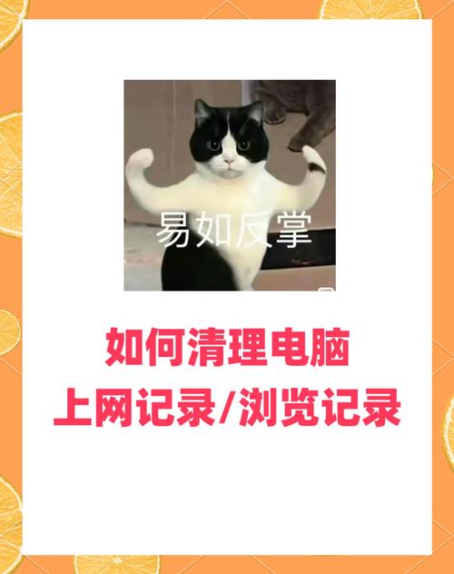 怎样清除历史记录详细教程(避免卡顿的实用技巧分享！)