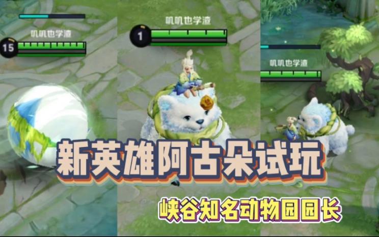 怎么用阿古朵高效收服野怪？老玩家分享实用步骤！