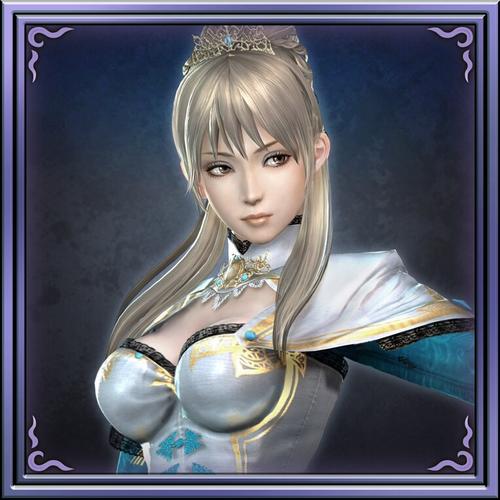 真三国无双6王元姬武器推荐？(配置方案轻松赢！)