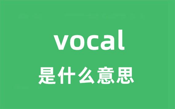 VOCAL是什么梗怎么来的？揭秘音乐圈爆火词汇真相