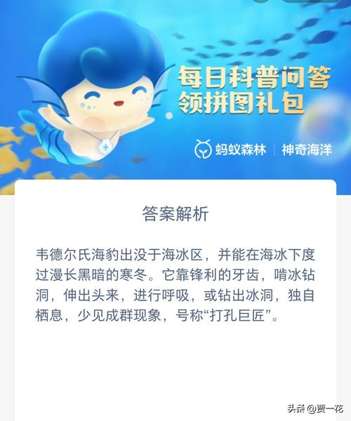 打孔巨匠的海洋生物哪种好(热门型号排行榜单大公开)