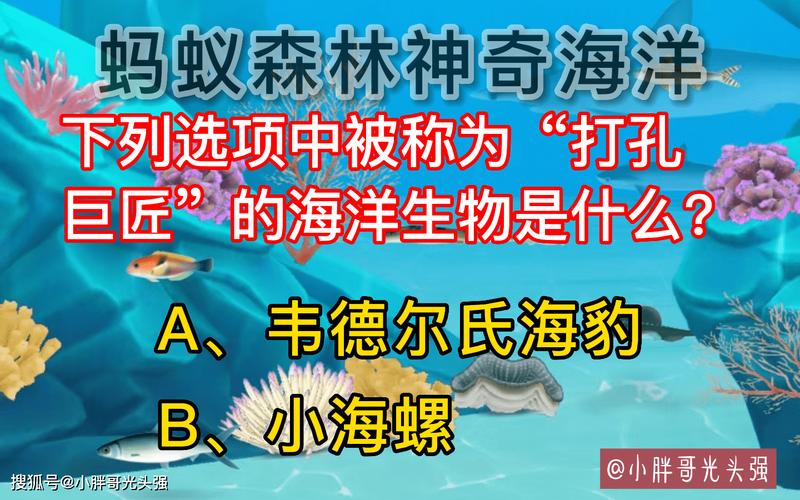 打孔巨匠的海洋生物哪种好(热门型号排行榜单大公开)