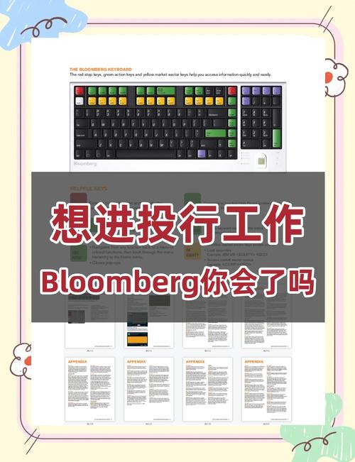 终端入门指南有哪些？新手必看10步操作攻略！