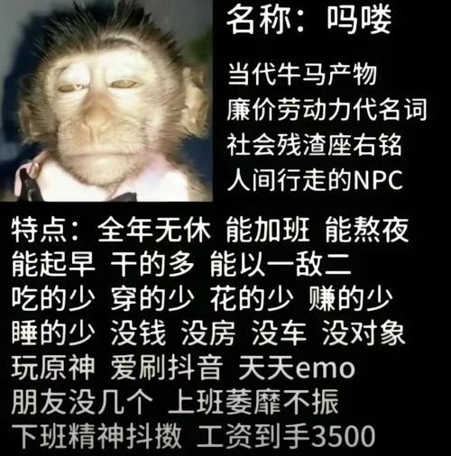 牛马啥意思是什么梗？网络热词打工人的真实写照！