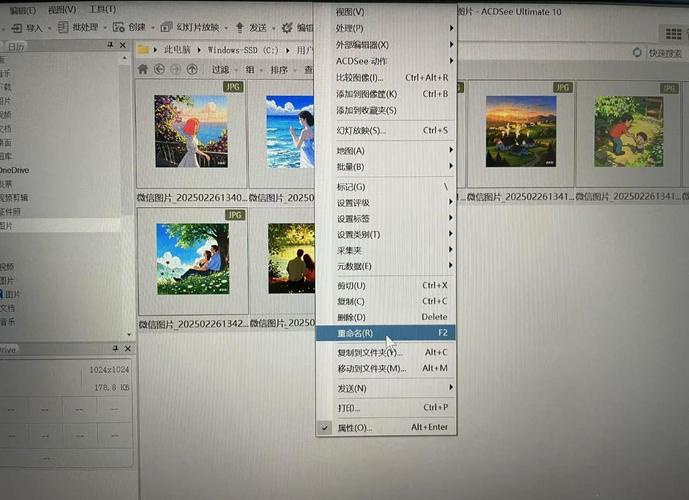 acdsee 15怎么下载安装？(新手必备教程免费获取！)