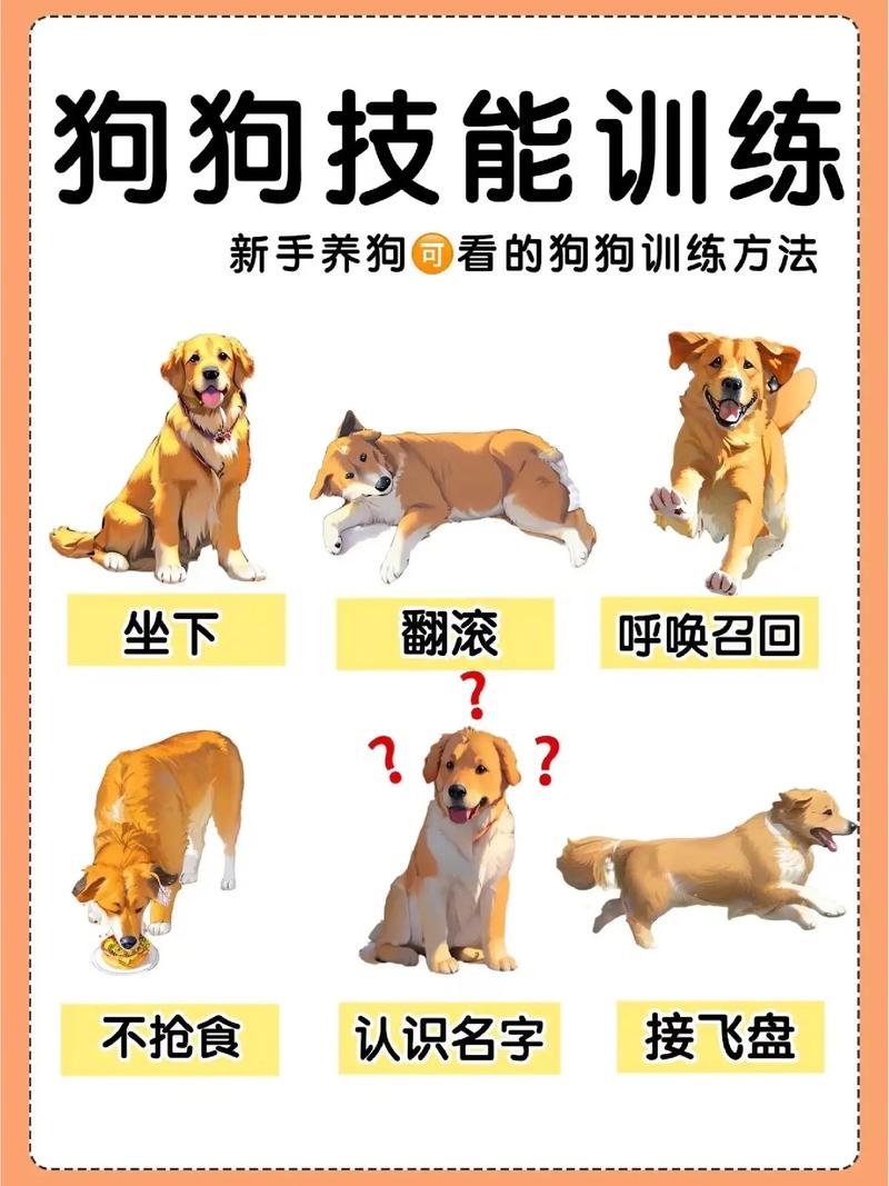 狗仔试炼打法详解：3分钟看懂核心通关技巧