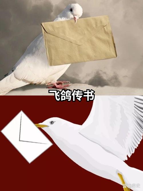 飞鸽传书v2.06怎么安装？简单5步快速上手搞定！