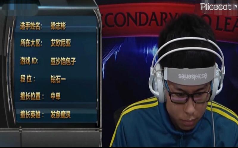 bzzb是什么意思？(实用指南助你轻松掌握应用场景)