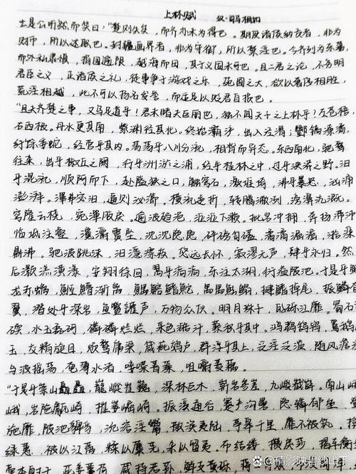 手抄上林赋是什么梗啥意思？揭秘网络热词真实内涵