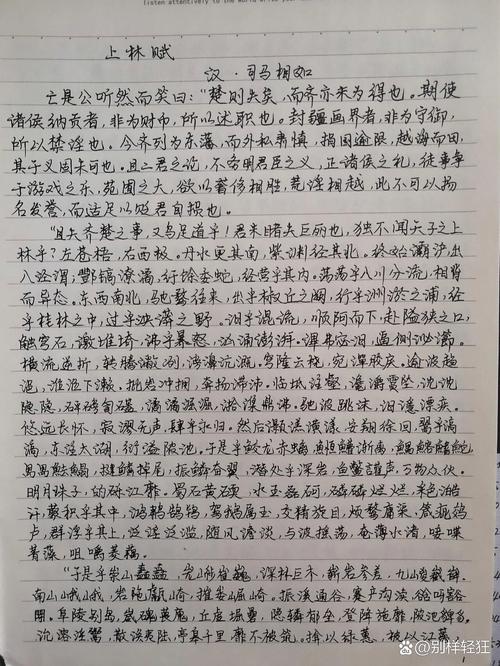 手抄上林赋是什么梗啥意思？揭秘网络热词真实内涵