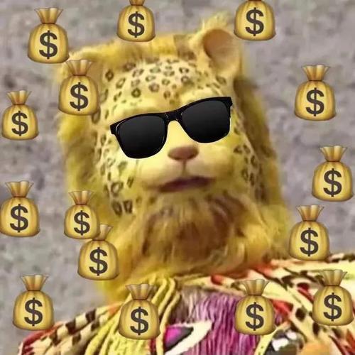 金钱豹头像是什么梗（从来源到应用全解析）