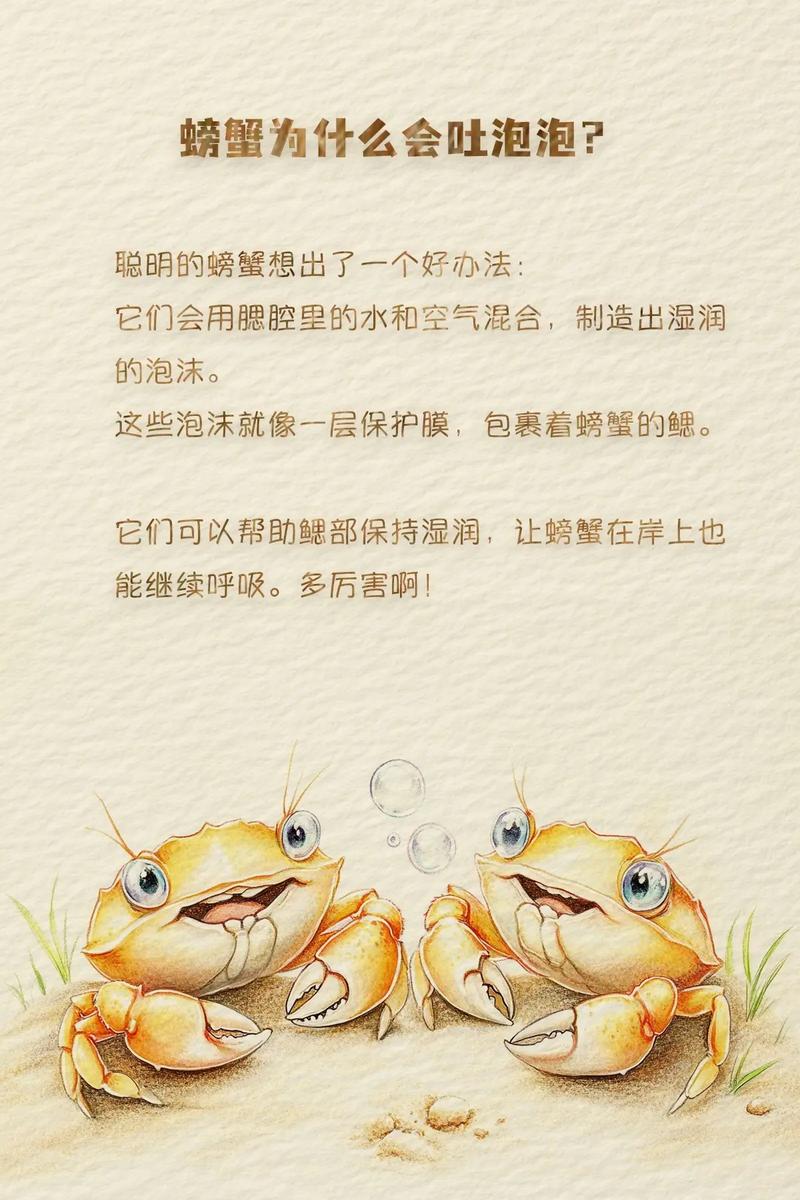 螃蟹为什么吐泡泡原因揭秘(看完才知不是口渴)