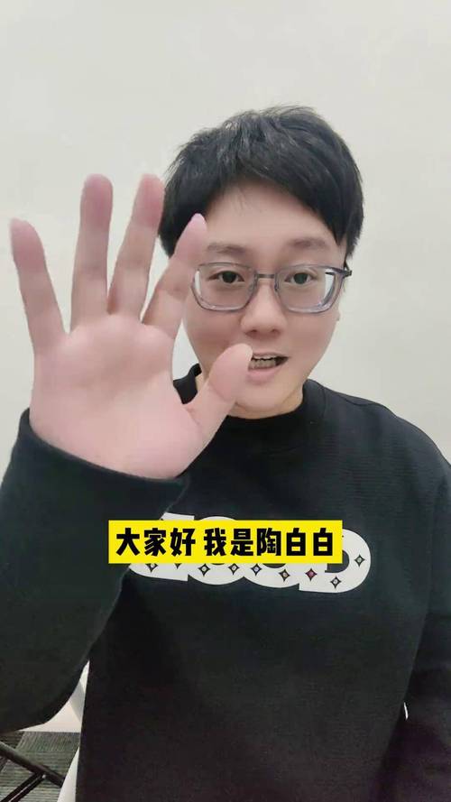 陶白白是什么梗对比其他梗？(专家帮你挑最佳应用)