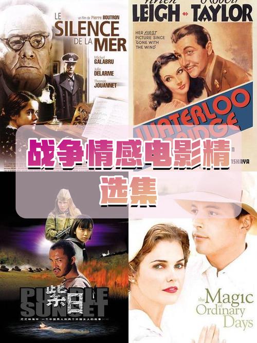 情感战争剧情介绍哪里有？全集剧情免费速看指南！