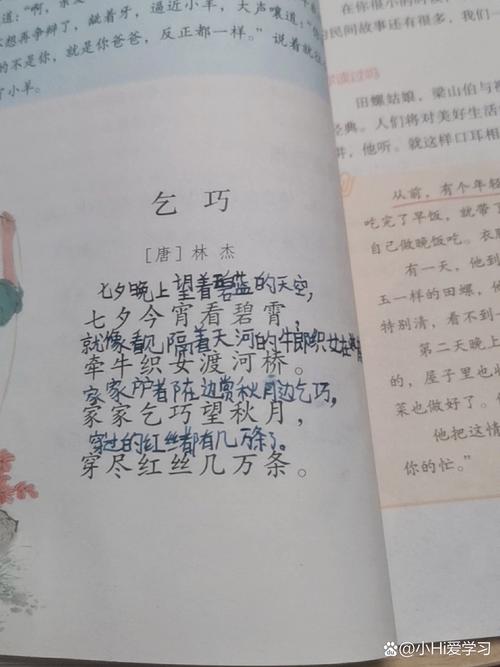 乞巧节指的是什么