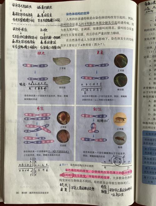 最有可能的异变原因是哪几个？专家分析五大关键！