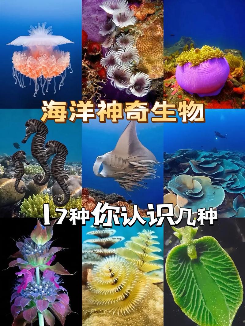 海洋动物的神奇生存技能：揭秘进行夏眠的独特习性