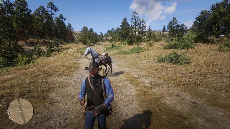 新手玩荒野大镖客2欧美版怎么快速上手？必看5个技巧