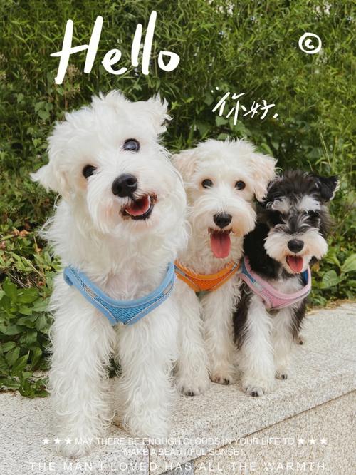 狗万manbetx有哪些游戏？热门玩法全攻略！