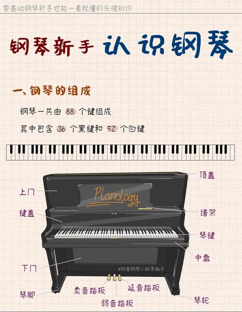 钢琴属于什么乐器？很多人都不知道的分类