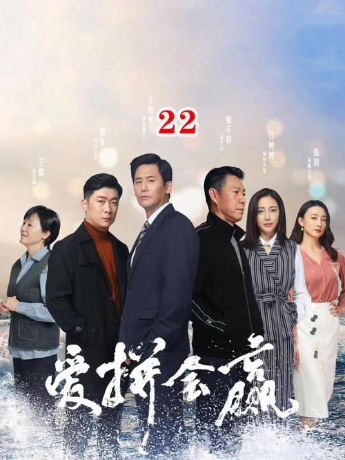 电视剧爱拼才会赢