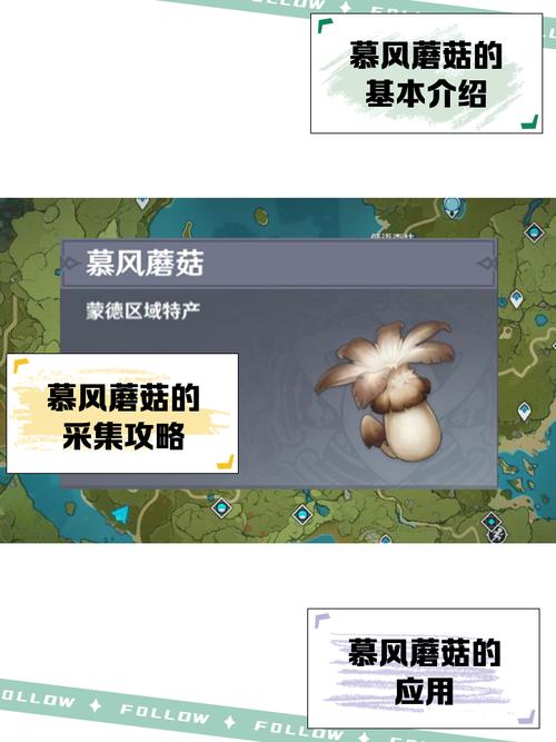 找不到慕风蘑菇怎么办？资深玩家分享隐藏采集技巧！