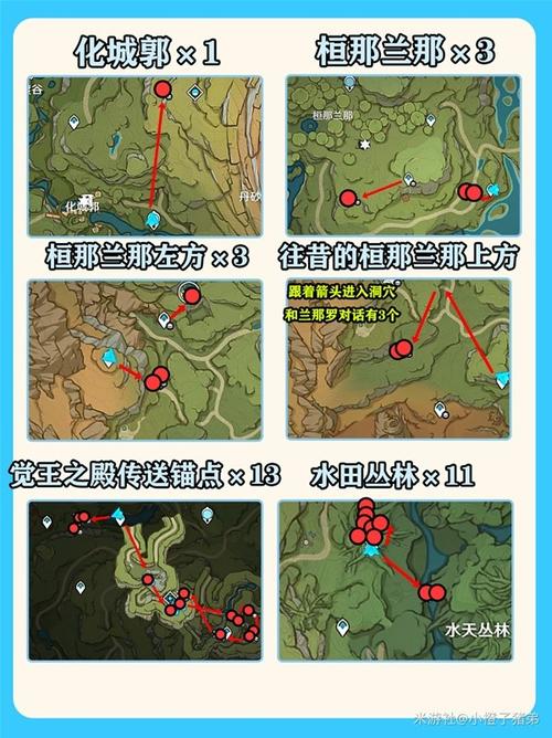 新手采集树王圣体菇怎么走？完整路线及注意事项分享