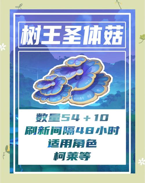 新手采集树王圣体菇怎么走？完整路线及注意事项分享