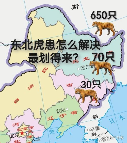 老虎地图全国地图包多大内存？手机空间占用实测数据