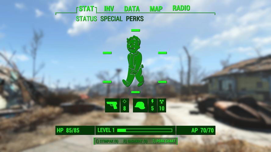 辐射4调全屏常见问题处理？(实用技巧避免黑屏)