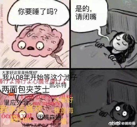 两片面包夹芝士什么梗？揭秘这个搞笑网络热语的来源