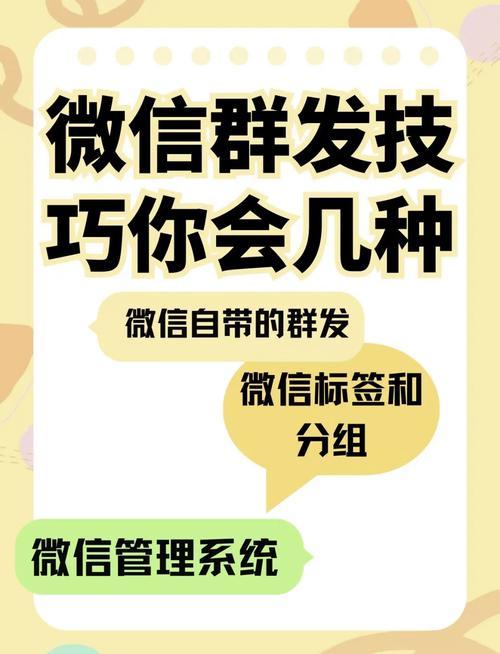 群发助手在微信哪里找？手把手教你快速定位操作！