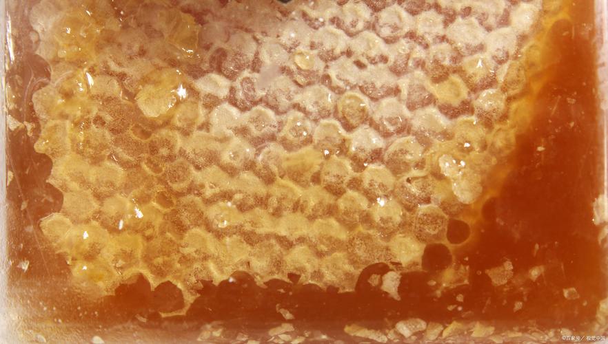 制造蜂蜡的是哪种蜜蜂？揭秘工蜂如何生产蜂蜡真相