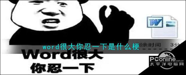 你忍一下我的有点大常见问题？资深用户解答避坑指南！
