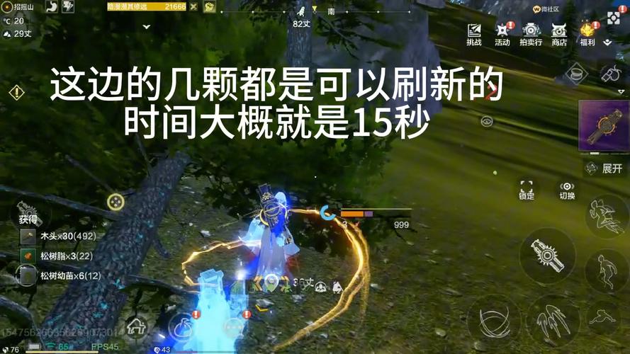 妄想山海哪里松树最多(新手快速刷松木最佳地点推荐)