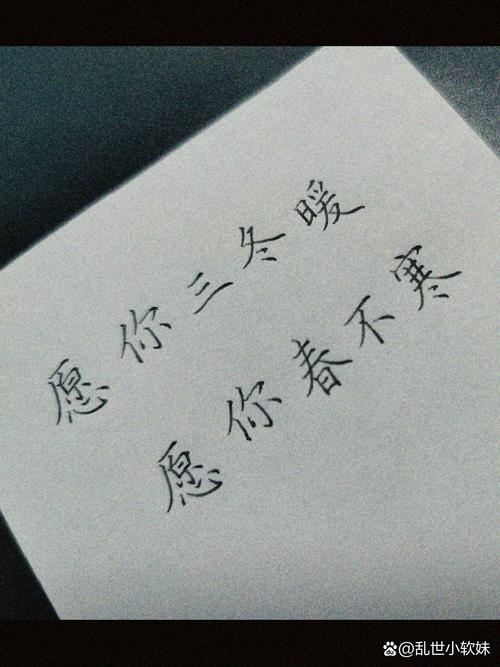 愿你三冬暖愿你春不寒是谁唱的？(了解歌手背后的感人故事)
