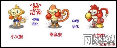 洛克王国火爆猴技能表在哪查看？(精准搜索方法介绍！)