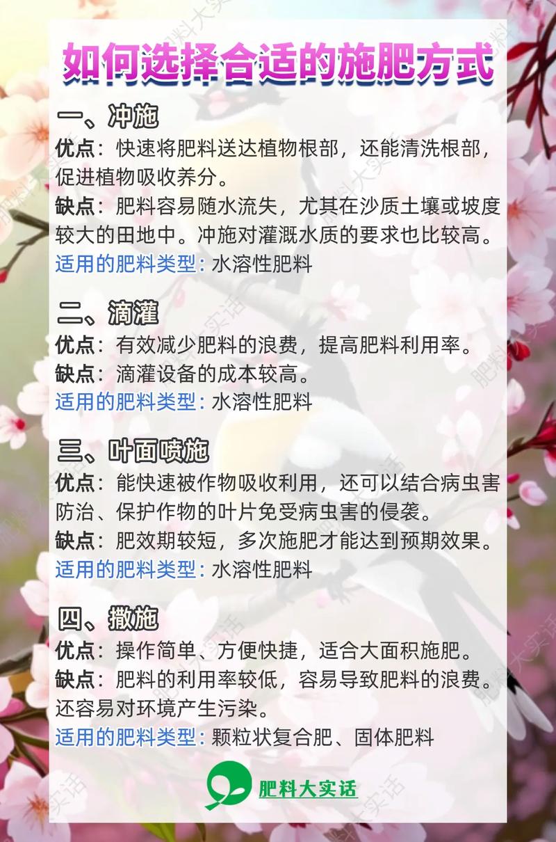 怎样才能快速获得肥料？掌握这5招高效省力不花钱！