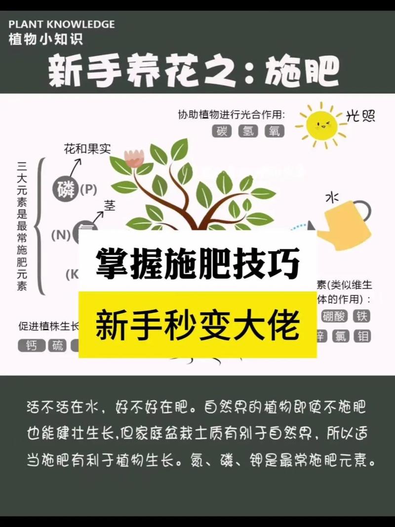怎样才能快速获得肥料？掌握这5招高效省力不花钱！