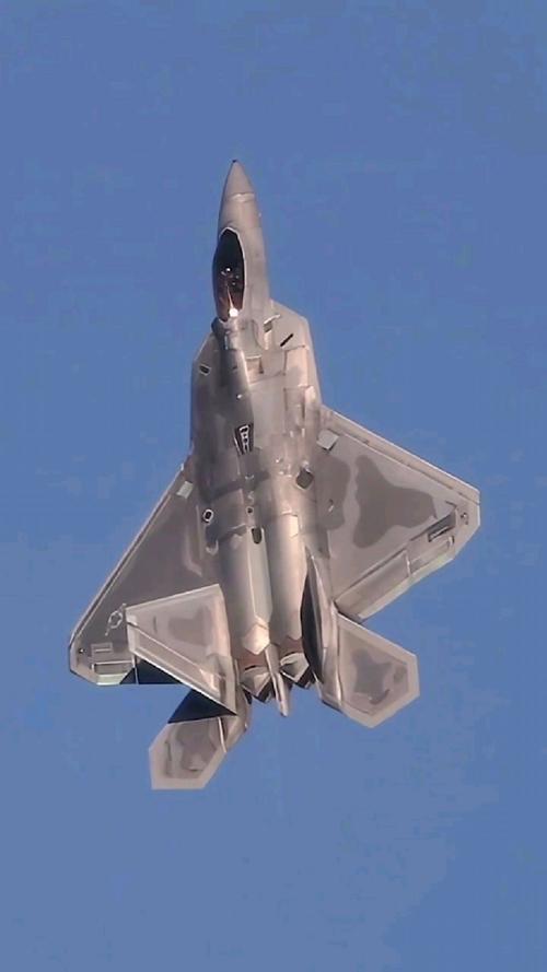 f22战斗机中文版哪个版本好用？用户评测真实体验