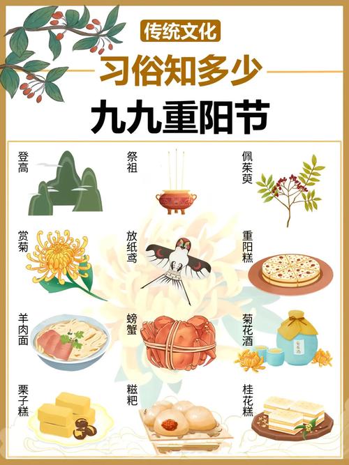 9月5日是哪里的节日？国际慈善日你知道吗？