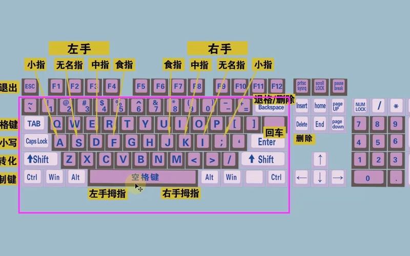 游戏拼音输入法1.0好不好（真实体验打字提升技巧）