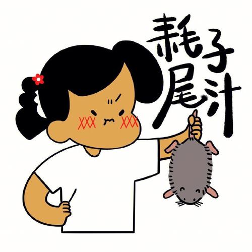 耗子尾汁与其他流行语区别在哪？(爆笑对比看点)